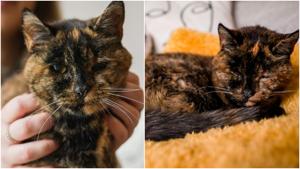 Relacionada fotojet-9.jpg