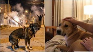 Relacionada fotojet-10.jpg