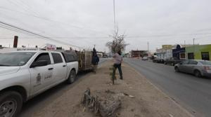 Relacionada whatsapp-image-2025-12-30-at-73950-pm.jpg