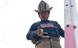 Relacionada img-20251230-wa0001.jpg