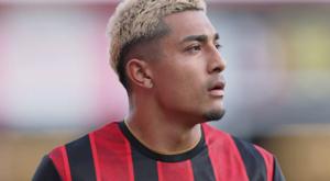 Relacionada download-2025-12-31t091918563.jpg