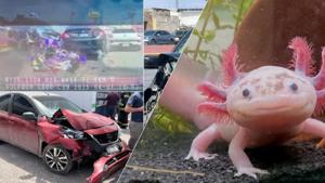 Relacionada photo-output.jpg