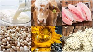 Relacionada aranceles.jpg