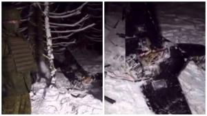 Relacionada ab7b4e12-f9d3-43b6-a7d9-990a89a4c60d.jpg