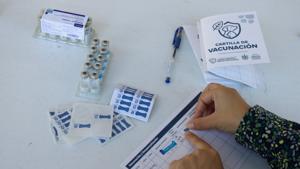 Relacionada jornadas-salud-animal-vacunacion-gratuita-chihuahua-2025.jpg