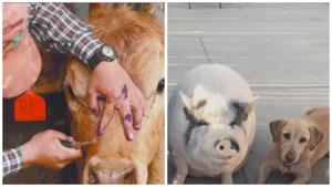 Relacionada aad4ef7d-73c8-4c4d-b73e-dbb166e4f022.jpg