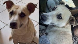 Relacionada fotojet-5.jpg