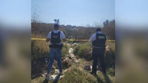 Relacionada michoacan.jpg