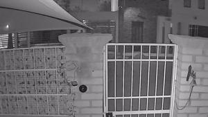 Relacionada fotojet-1.jpg