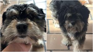 Relacionada fotojet-5.jpg