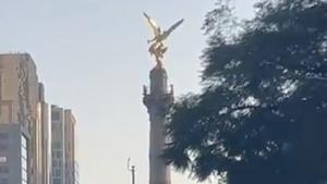 Relacionada captura-de-pantalla-2026-01-02-a-las-100320-am.jpg