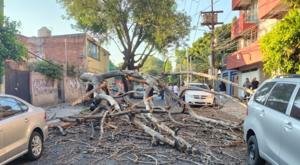 Relacionada descarga-2026-01-02t111606747.jpg