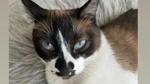 Relacionada whatsapp-image-2026-01-02-at-125623-pm.jpg