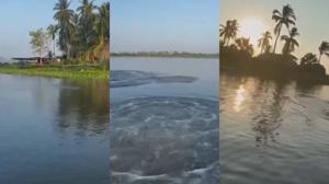 Relacionada sismo.jpg