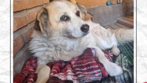 Relacionada 1000847167.jpg