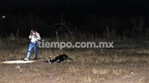 Relacionada 1000250986.jpg