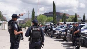 Relacionada whatsapp-image-2026-01-03-at-82034-am.jpg