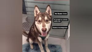 Relacionada img-20260104-wa0037.jpg