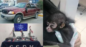 Relacionada descarga-11.jpg