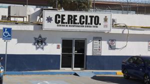 Relacionada cerecito.jpg