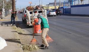 Relacionada whatsapp-image-2026-01-05-at-124127-pm.jpg