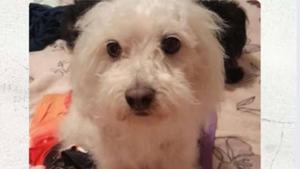 Relacionada fotojet-5.jpg