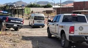 Relacionada 1000252006.jpg