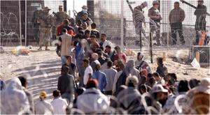 Relacionada florida.jpg