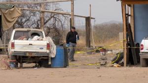 Relacionada principal_principal_inshot_20251229_131845628.jpg