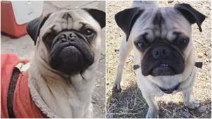 Relacionada fotojet-1.jpg