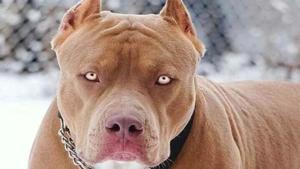 Relacionada principal_captura-de-pantalla-de-2019-06-05-11-03-17.jpg