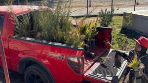 Relacionada whatsapp-image-2026-01-06-at-14058-pm.jpg