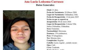 Relacionada pesquisa.jpg