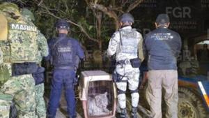 Relacionada screenshot-2026-01-06-204851-1.jpg