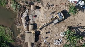 Relacionada papagayo.jpg