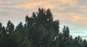 Relacionada clima7enero2026.jpg