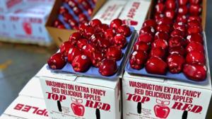 Relacionada manzana-importada.jpg