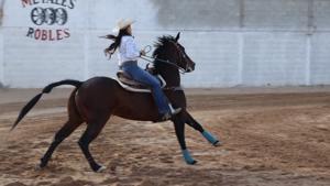 Relacionada 695e8f108902c__695e8f108902d.jpg