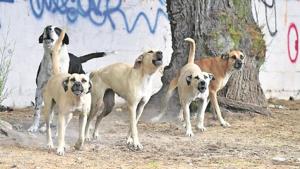 Relacionada ldgyitmof5ei5ek2u6h6lpgvx4.jpg