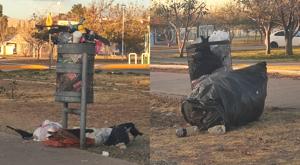 Relacionada basura-huerta-legarreta.jpg