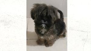 Relacionada whatsapp-image-2026-01-07-at-21750-pm.jpg