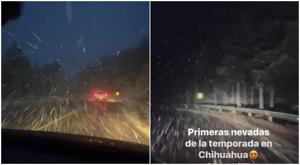 Relacionada nieve-chihuahua.jpg