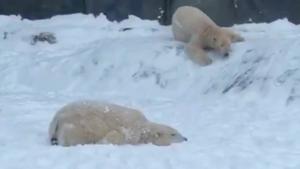 Relacionada fotojet.jpg