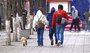 Relacionada friochihuahua.jpg