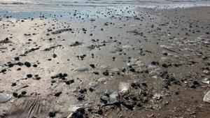 Relacionada 695edfb59a6f9.jpg