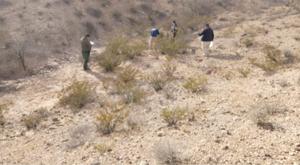 Relacionada descarga-2026-01-08t143517377.jpg