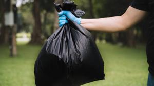 Relacionada istockphoto-1471662702-612x612.jpg