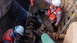 Relacionada screenshot-2026-01-08-154409-1.jpg