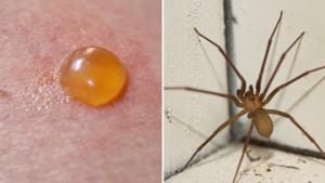 Relacionada screenshot-2026-01-08-203618-1.jpg