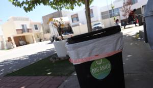 Relacionada whatsapp-image-2026-01-09-at-91442-am.jpg